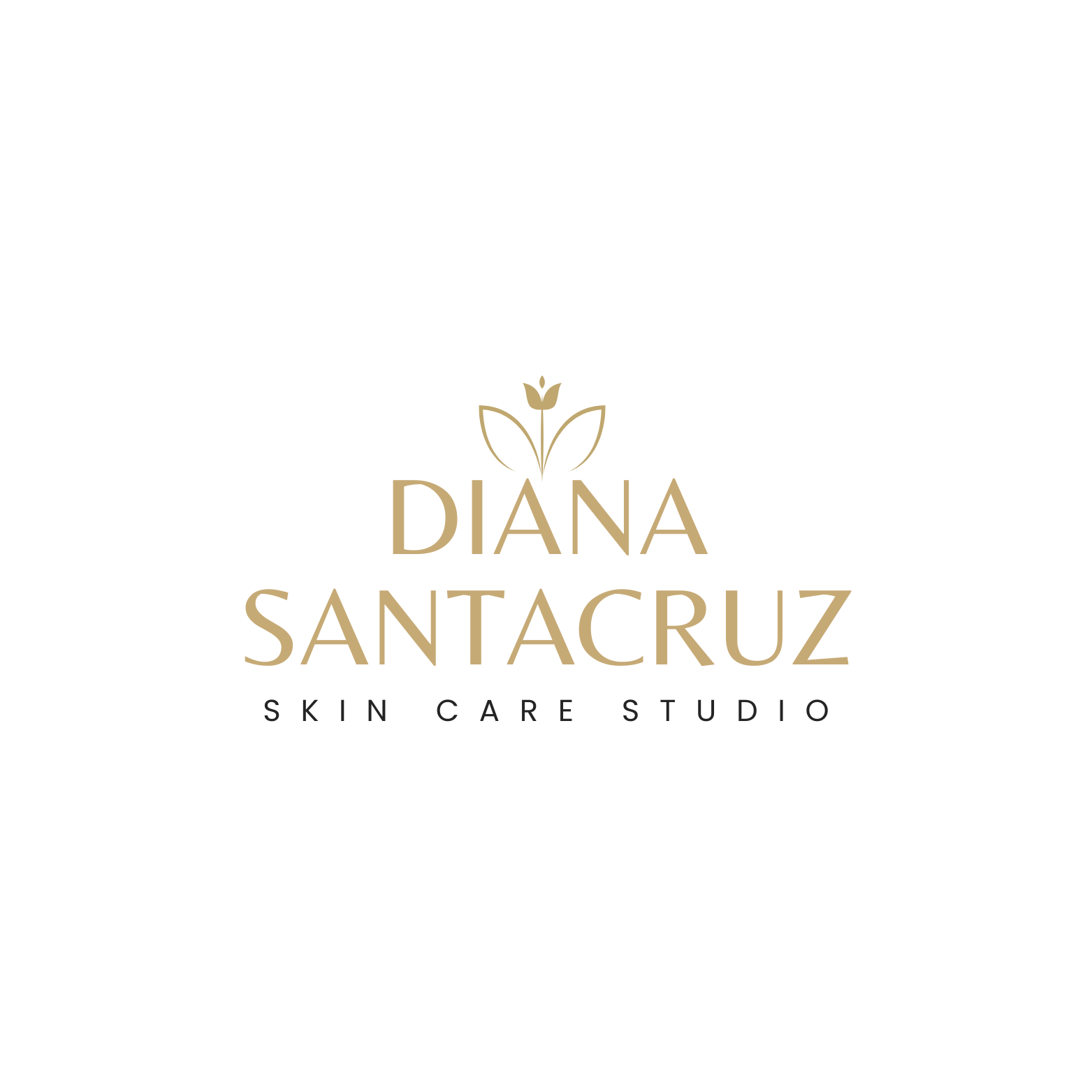 dianasantacruzskincare.com